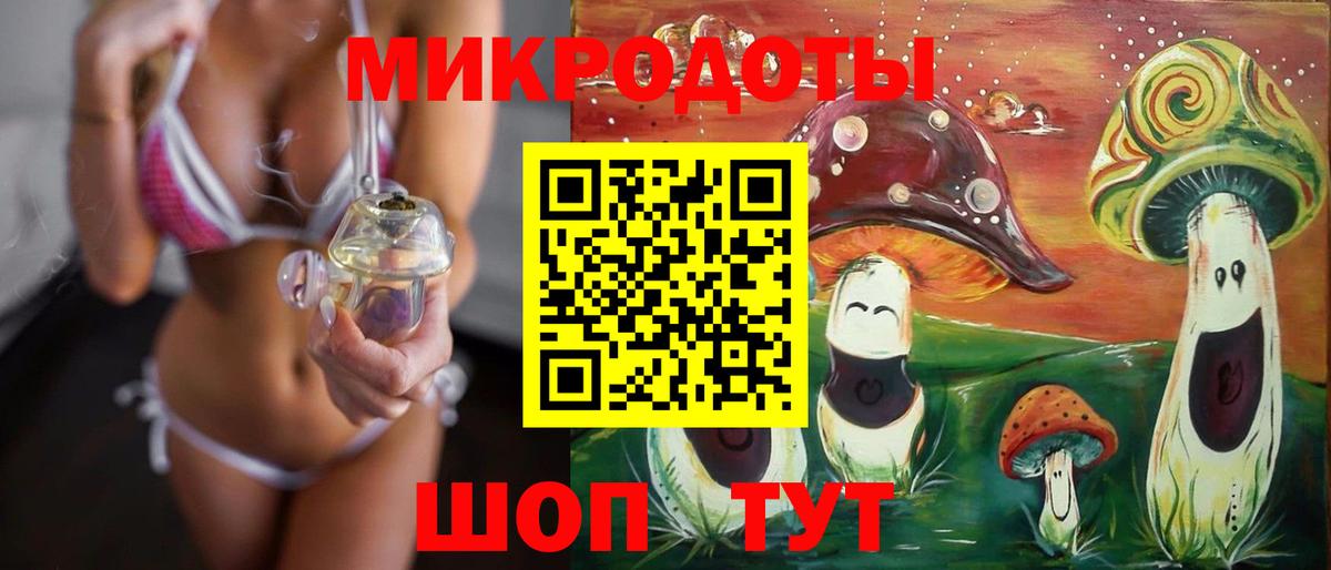 Людиново  Псилоцибиновые грибы Psilocybine cubensis  Вход с VPN 