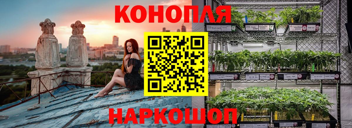 Бошки марихуана гибрид  Конопля индика  Вход с VPN  Бошки марихуана LSD WEED  Людиново 